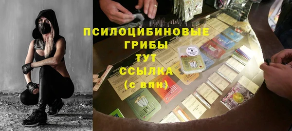 прущие крисы Новодвинск