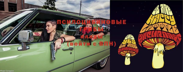прущие крисы Новодвинск
