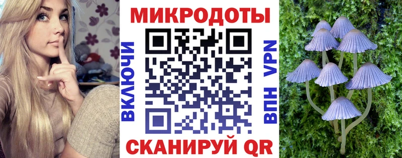 Галлюциногенные грибы Cubensis  Михайловск 